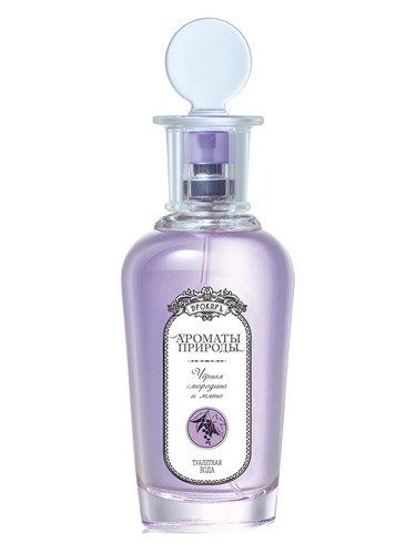 Черная смородина и мята - Black currant and Mint by Brocard