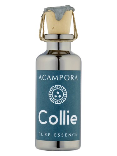 Collie – Pure Essence by Bruno Acampora