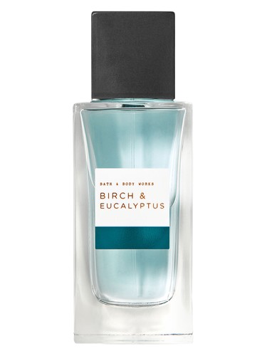 Birch & Eucalyptus by Bath & Body Works