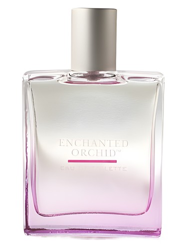 Enchanted Orchid by Bath & Body Works
