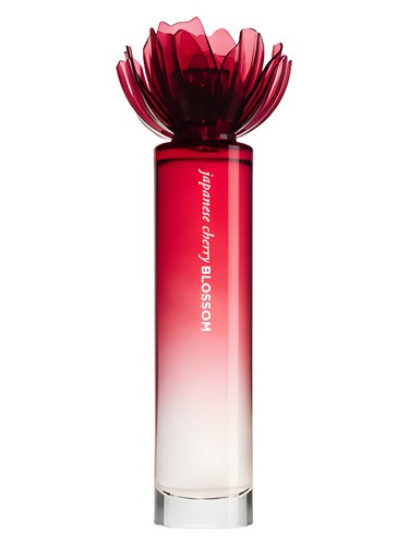 Japanese Cherry Blossom 2011 by Bath & Body Works