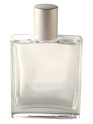 Java Bloom by Bath & Body Works