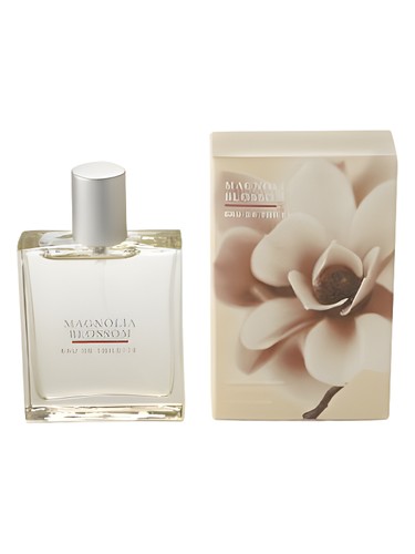Magnolia Blossom by Bath & Body Works