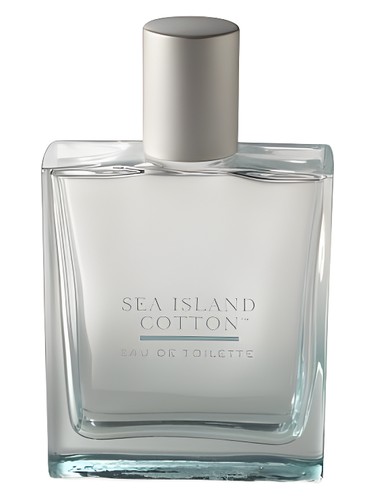 Sea Island Cotton by Bath & Body Works