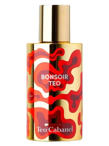 Bonsoir Teo by Teo Cabanel