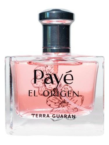 Payè El Origen by Terra Guarán