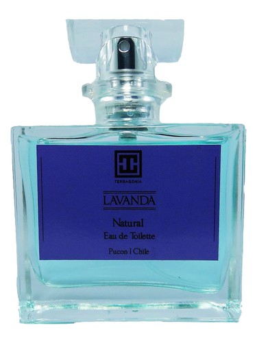 Lavanda by Terragonia