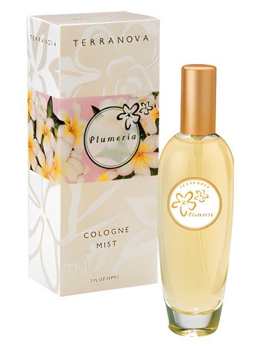 Plumeria by TerraNova