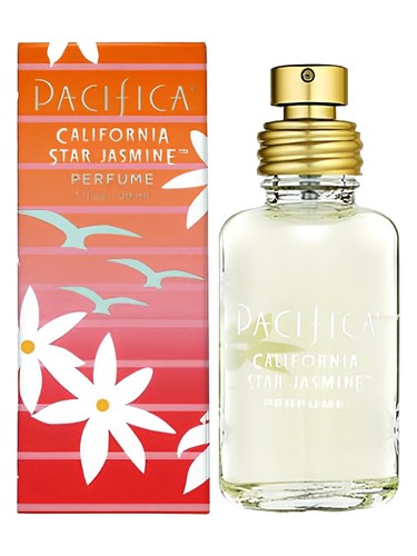 California Star Jasmine by Pacifica