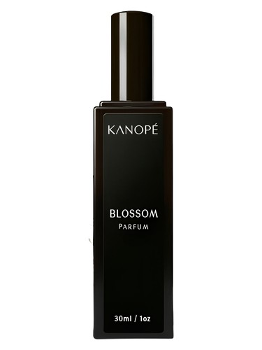 Blossom - Spring Awakening by Kanopé Montréal