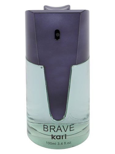 Brave by kari