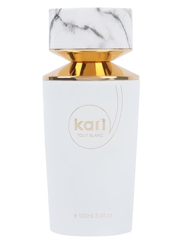 TOUT BLANC by kari