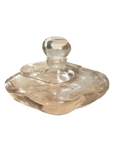 Camelia Superieur by Shiseido