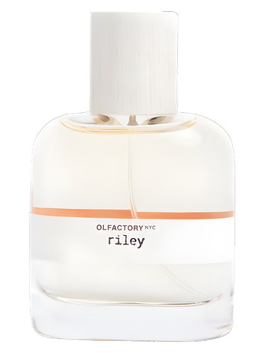 Riley by Olfactory NYC