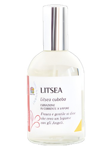 Litsea by Olfattiva