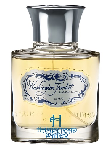 Hampstead Water by Washington Tremlett