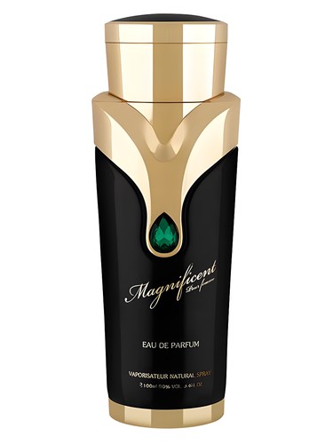 Magnificent Pour Femme by Armaf