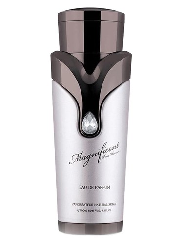 Magnificent Pour Homme by Armaf