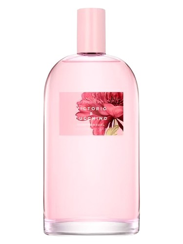 Rosa Sensual by Victorio & Lucchino