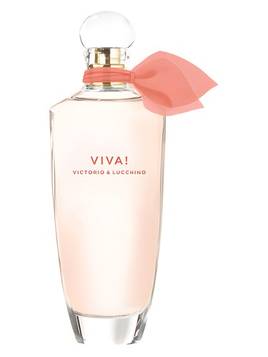 Viva! by Victorio & Lucchino