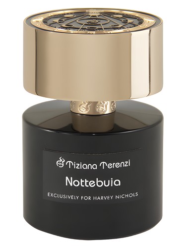 Nottebuia by Tiziana Terenzi