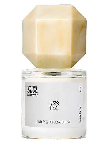 Orange Dive 溺海之橙 by To Summer | 观夏