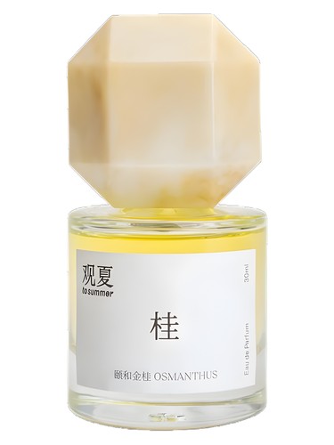 Osmanthus 颐和金桂 by To Summer | 观夏