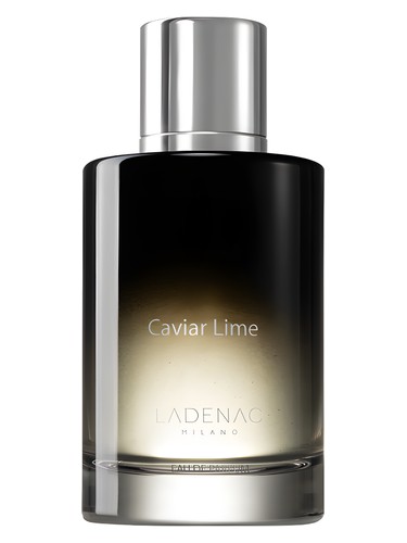 Caviar Lime by Ladenac