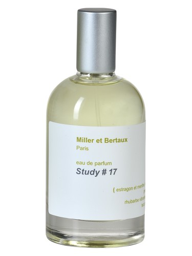 Study No. 17 by Miller et Bertaux