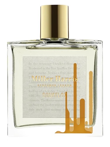Soufflot by Miller Harris