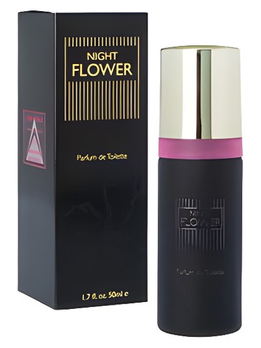 Night Flower by Milton Lloyd