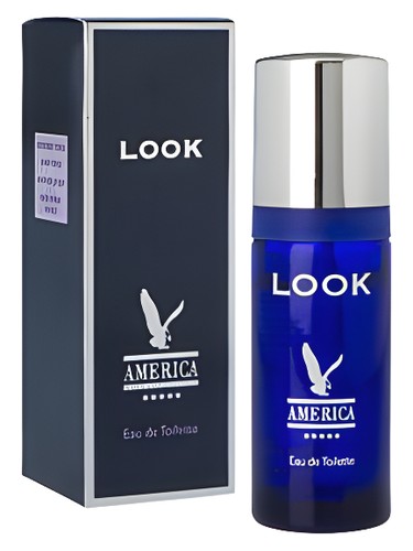 America Look by Milton Lloyd