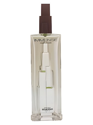 Immense Pour Homme by Jean-Louis Scherrer