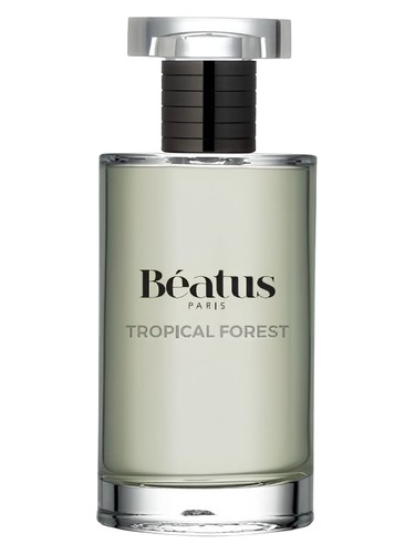 Tropical Forest by Béatus Paris