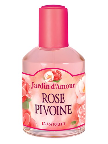 Rose Pivoine by Jardin d'Amour