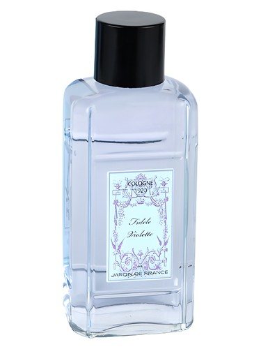 Fidele Violette by Jardin de France