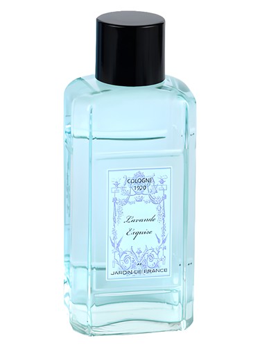 Lavande Exquise by Jardin de France