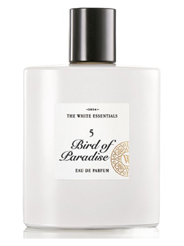 5 Bird Of Paradise by Jardin de Parfums