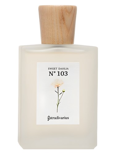 No 103 Sweet Dahlia by Stradivarius