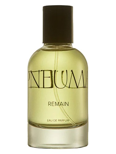 Remain by Studio Pneuma