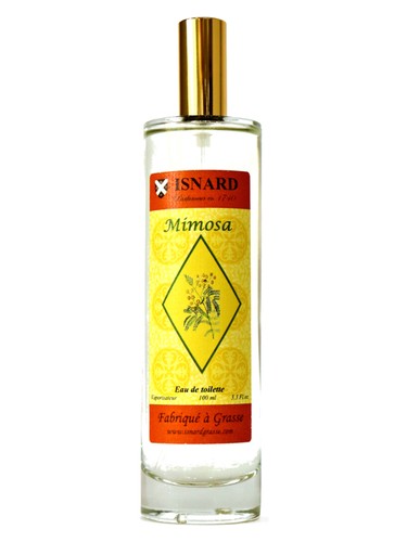 Mimosa by Isnard
