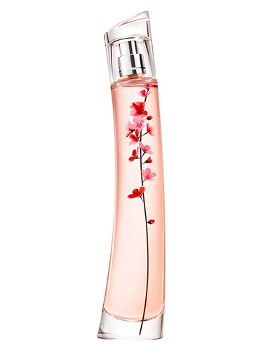 Flower Ikebana Sakura by Kenzo