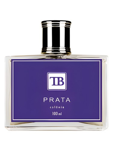 Prata Contemporaneo by Tania Bulhões