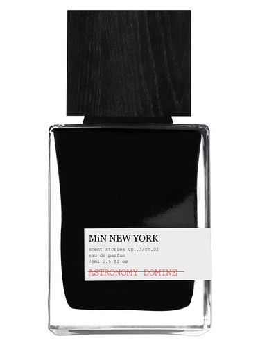 ASTRONOMY DOMINE by MiN NEW YORK