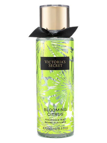 Blooming Citrus by Victoria's Secret