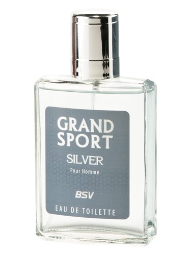 Grand Sport Silver by Ninel Perfume