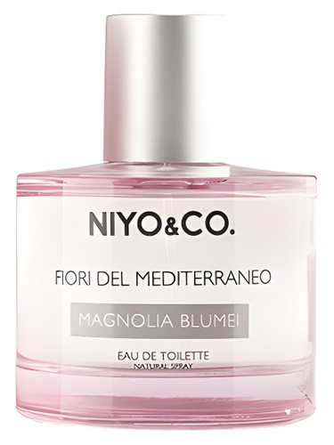 Magnolia Blumei by NIYO&CO