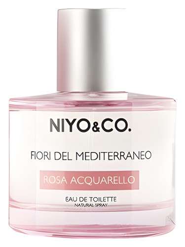 Rosa Acquarello by NIYO&CO