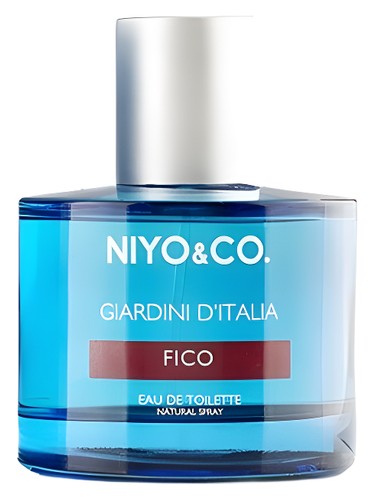 Fico by NIYO&CO