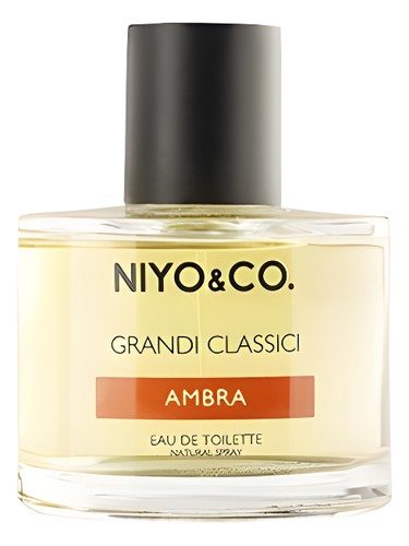 Ambra by NIYO&CO